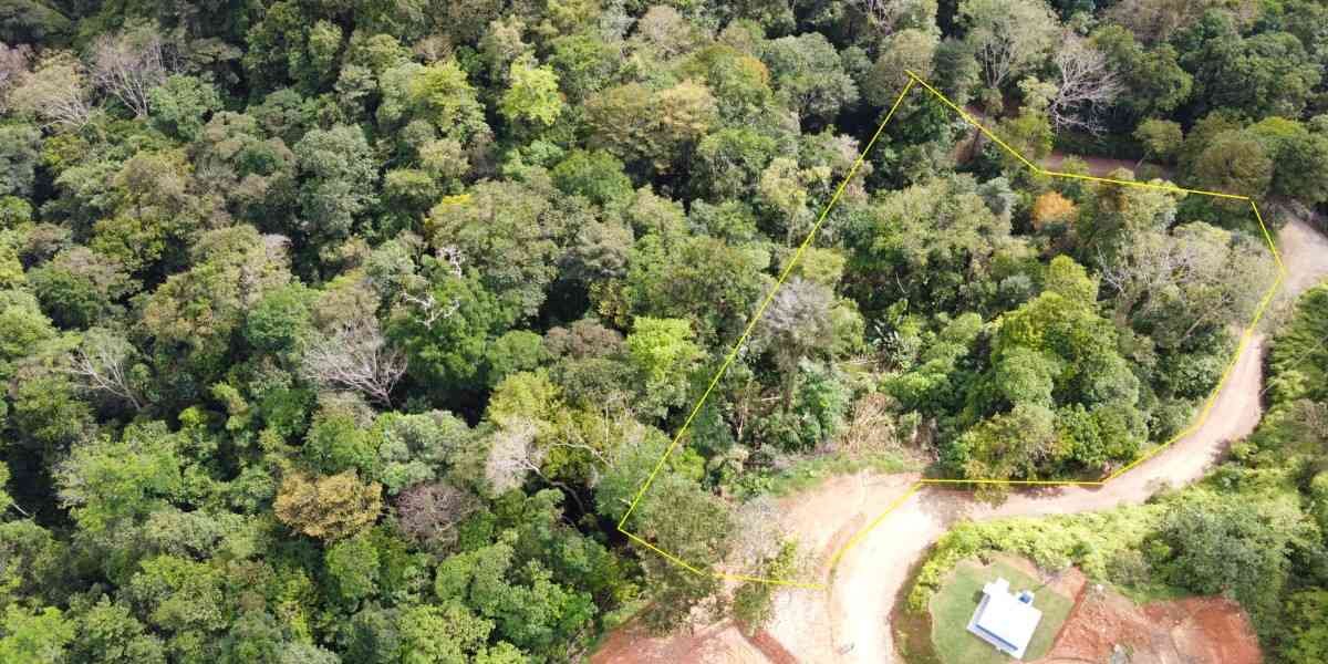 4+ Acre Ocean View Lot with Legal Water & Epic Views of Osa Peninsula