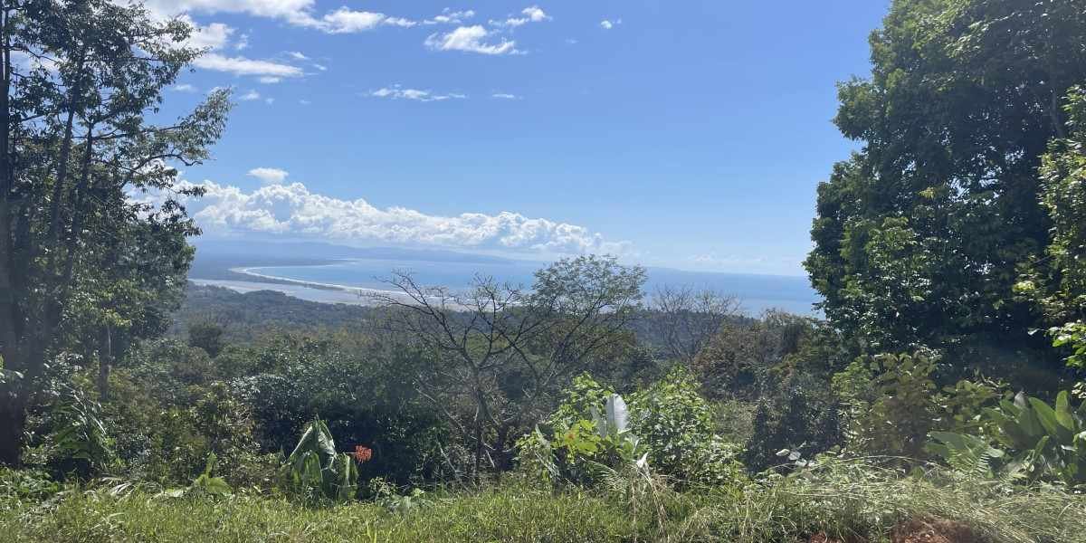4+ Acre Ocean View Lot with Legal Water & Epic Views of Osa Peninsula