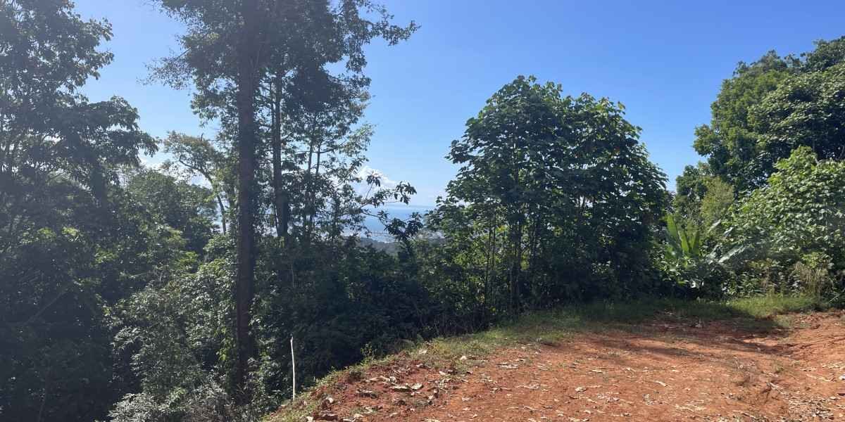 1.8 Acre Ocean View Lot with Legal Water & Epic Views of Osa Peninsula