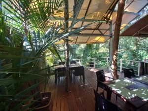 Inside a jungle restaurant.