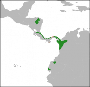 green macaw range.