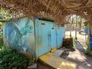 Toilet facilities at the beach.