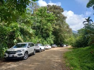 Cars parked along road.