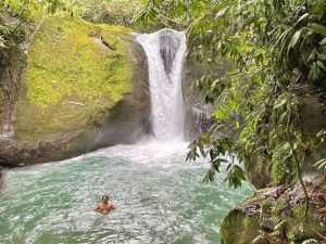 Waterfall in jungle.