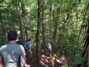 People in forest.