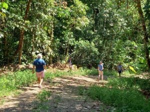 People walking in forest.