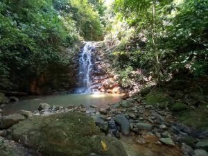 jungle waterfall