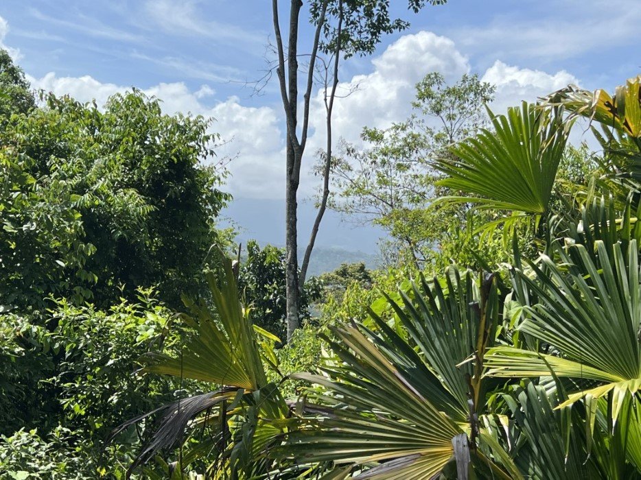 Exquisite Building Lot in Lagunas RE/MAX We Sell Paradise